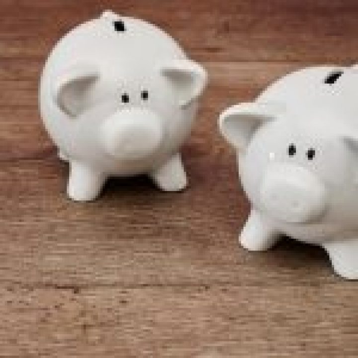 CustomerCareMC Industries FinancialServices_twowhitepiggybanks Two White Piggy Banks on Floor